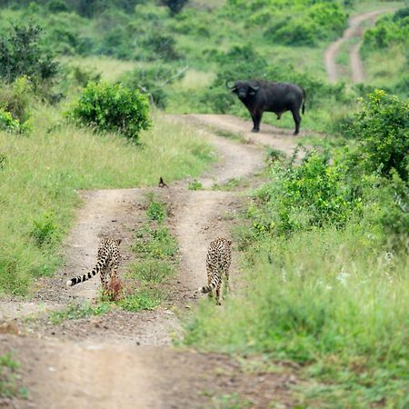 Sungulwane Private Game Lodge フルフルウェ エクステリア 写真