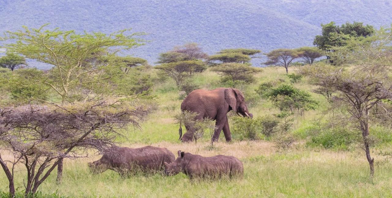 Sungulwane Private Game Lodge フルフルウェ エクステリア 写真