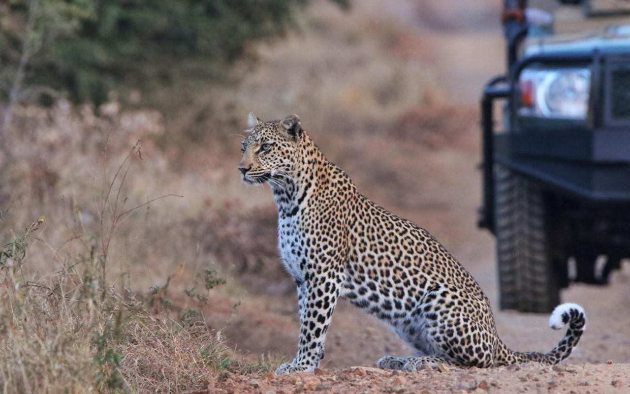 Sungulwane Private Game Lodge フルフルウェ エクステリア 写真