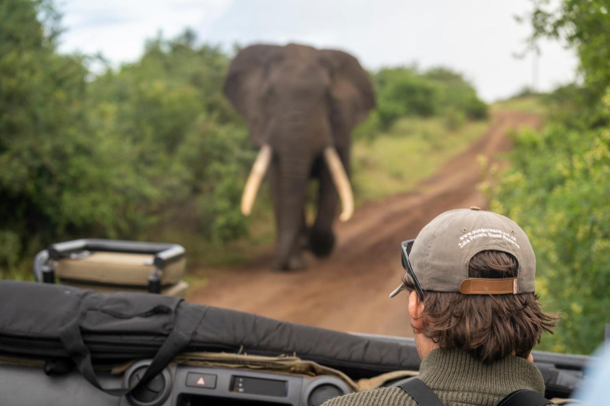 Sungulwane Private Game Lodge フルフルウェ エクステリア 写真